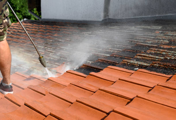 Best Roof Power Washing Services  in Wofford Heights, CA