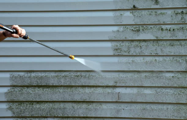Best House Pressure Washing  in Wofford Heights, CA